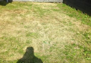 町の便利屋です。雑草や植木などでお困りの方解決いたします。