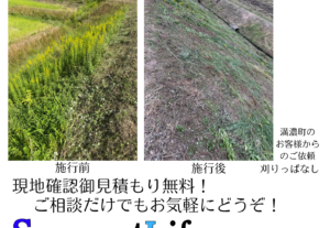 香川県で草刈り、草抜き 撤去 致します！四国対応！